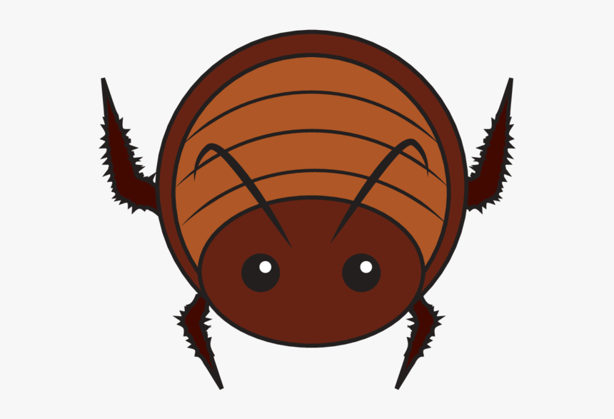 Animaru Cockroach - Cockroach Cartoon Transparent Png, Png Download, Free Download