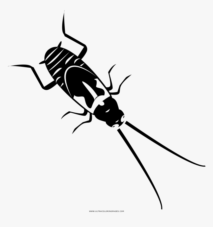 Cockroach Coloring Page - Longhorn Beetle, HD Png Download, Free Download