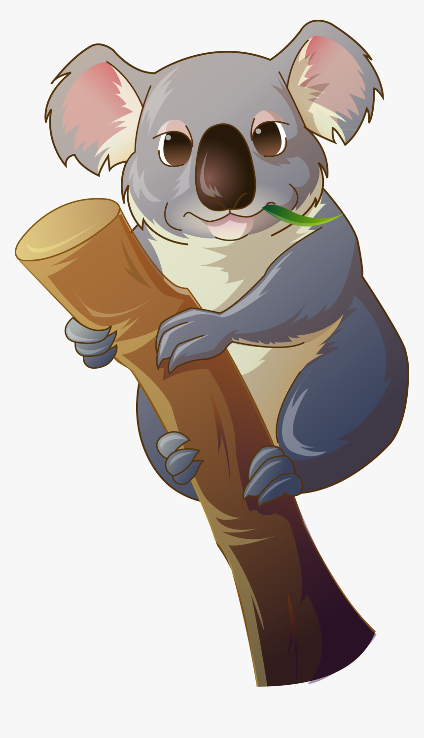 Koala Bear Clip Art - Clipart Koala Png, Transparent Png, Free Download