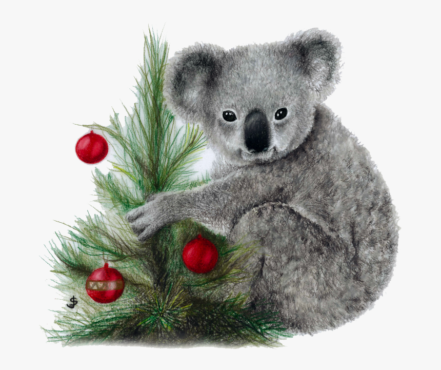 Koala Png Image Download - Koala, Transparent Png, Free Download