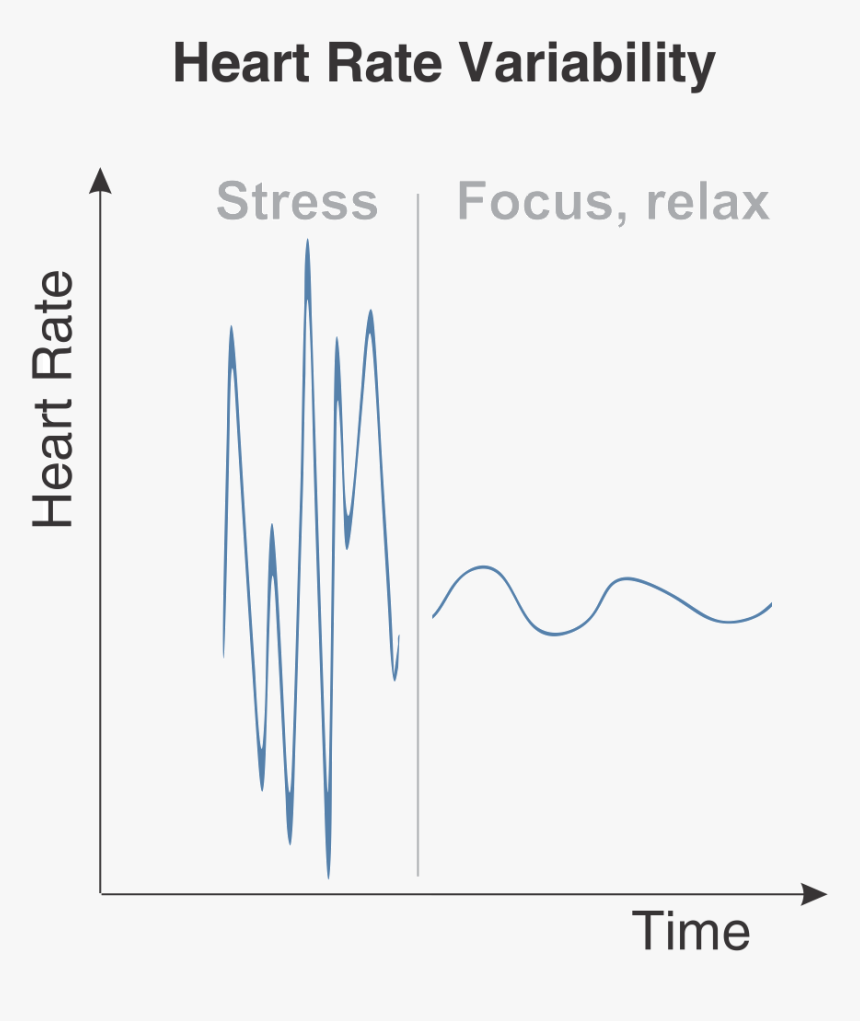 Heart Rate Variability Hrv - Heart Rate Variability Stress Focus Relax, HD Png Download, Free Download