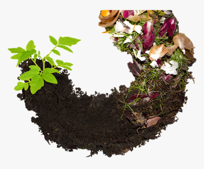 Soil Nurseries, HD Png Download, Free Download