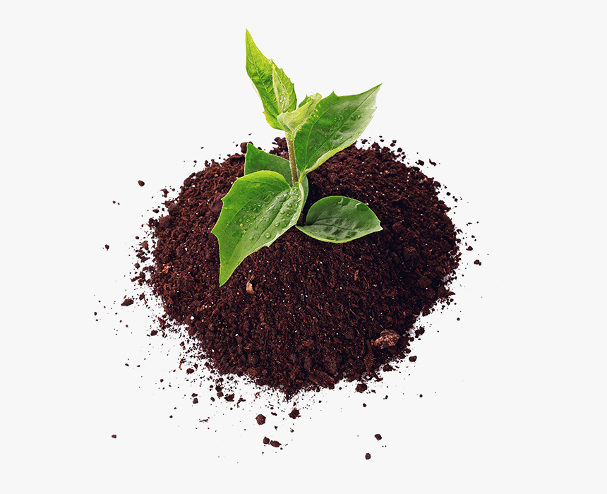 Soil Png Hd Image - Soil Png, Transparent Png, Free Download