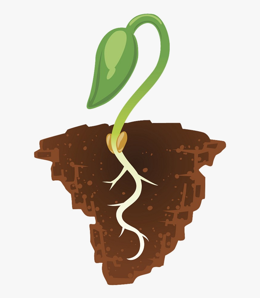 Soil Clipart Transparent Png - Soil Clipart Png, Png Download, Free Download