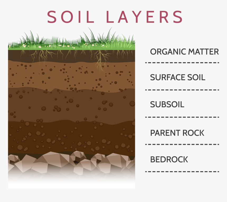 Layers Of Soil Clipart, HD Png Download, Free Download