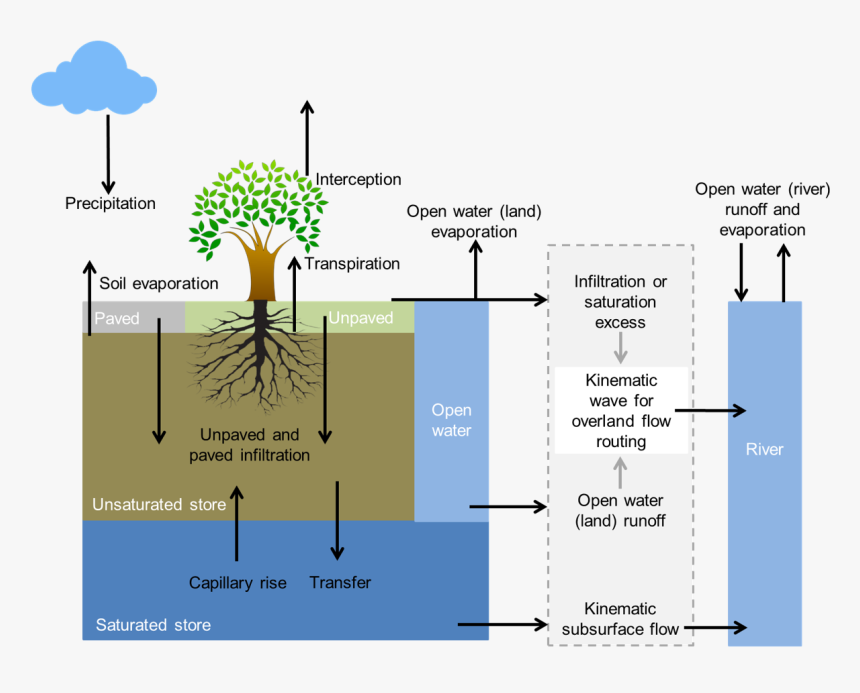 Images/wflow Sbm Soil - Transpiration Models, HD Png Download, Free Download