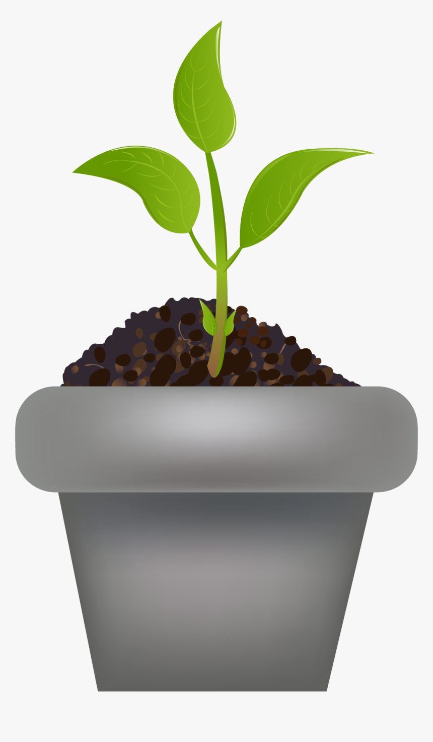 Flowerpot, HD Png Download, Free Download