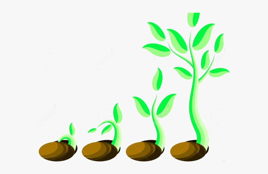 Soil Free Clipart Clip Art On Transparent Png - Little Green Shoot, Png Download, Free Download