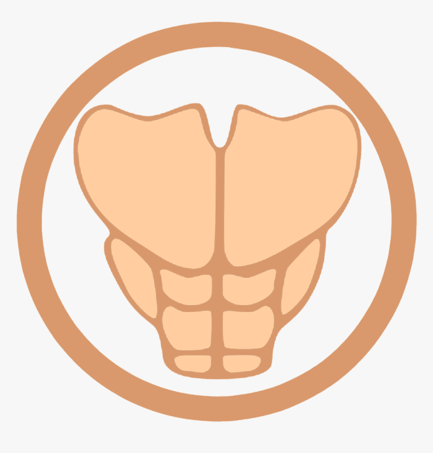 Six Pack, Abs, Gym, Muscles, Clipart, Sticker - Cartoon Six Pack Abs, HD Png Download - kindpng Six Pack, Abs, Gym, Muscles, Clipart, Sticker - Cartoon Six Pack Abs, HD Png Download - kindpng