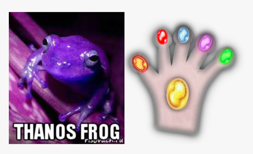 Thanos Glove Gauntlet Custom Fit For Frog Fingers Imgur - Frog Purple, HD Png Download, Free Download