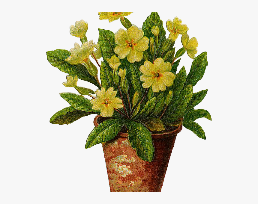 The Flower Pot Flowers Pot Free Download Clip Art Free - Flowers In Pot Png, Transparent Png, Free Download
