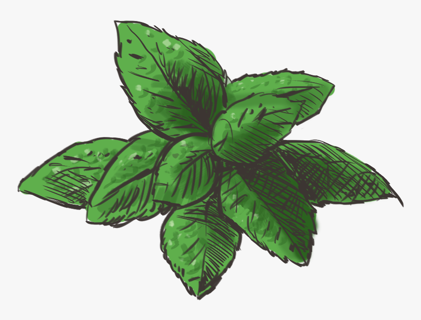 Mint Png Hd - Clipart Mint Png, Transparent Png, Free Download