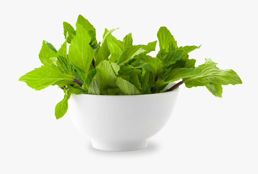 Mint, Scent Geranium Natural Freshness - Mint Leaves Png Bowl, Transparent Png, Free Download