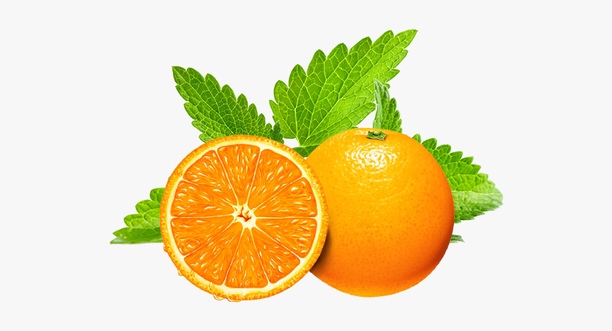 Hookafina Orange Mint - Do Peppermint Seeds Look Like, HD Png Download, Free Download