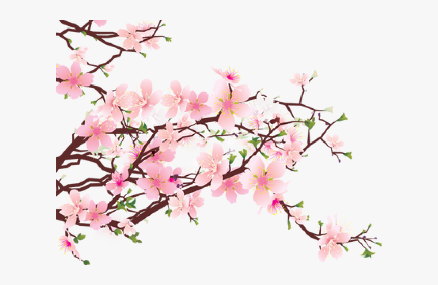 Sakura Clipart Blosson - Cherry Blossom Tree Png Transparent, Png Download, Free Download