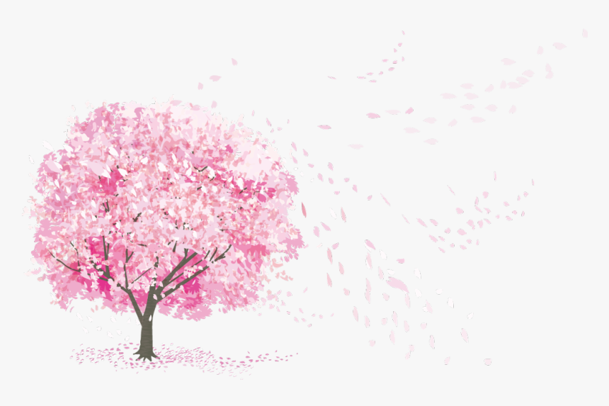 #sakura #pink #deco #japan #flowers #tree #spring #splash - Japanese Cherry Blossom Hd Png, Transparent Png, Free Download