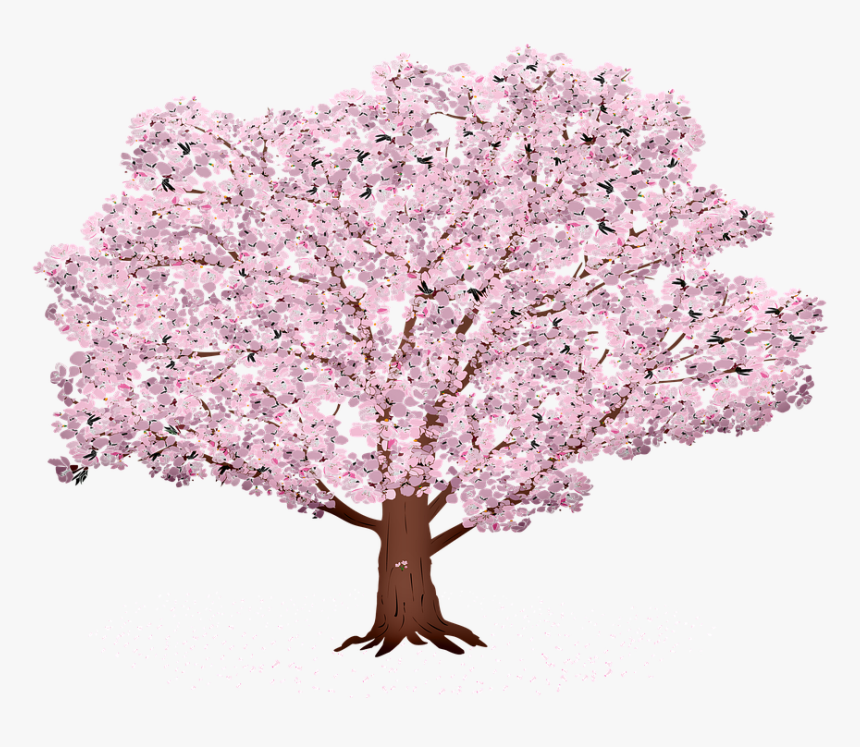 Sakura Tree Background, Sunrays, Sakura, Summer, Spring - Bouquet, HD Png Download, Free Download