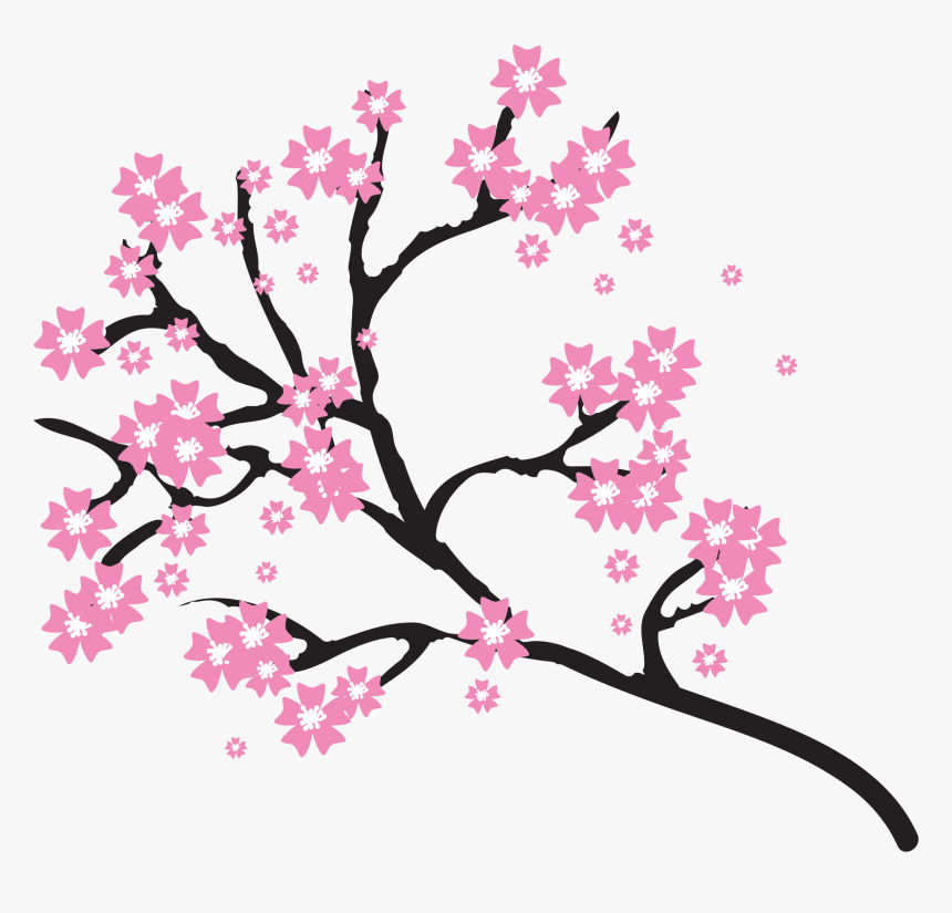 Japanese Cherry Blossom Clip Art - Japanese Cherry Blossom Clipart, HD Png Download, Free Download