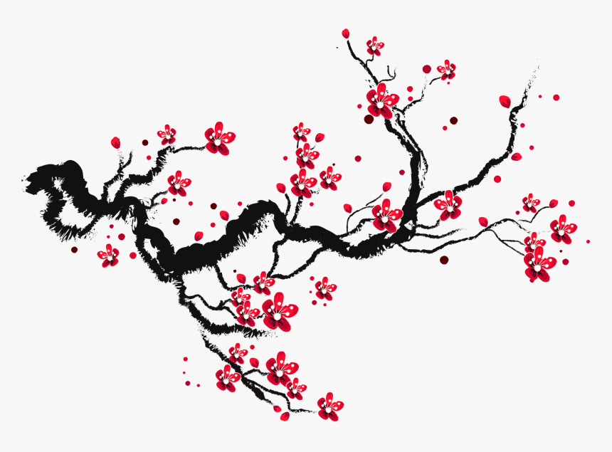 Drawing Cherry Blossom Branch, HD Png Download, Free Download