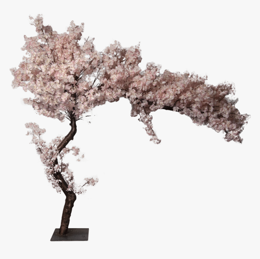 Cherry Blossom Artificial Tree - Cherry Blossom, HD Png Download, Free Download