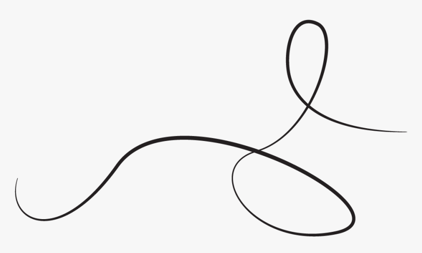 Squiggly Line Drawn By Illustrator - Line Art, HD Png Download, Free Download