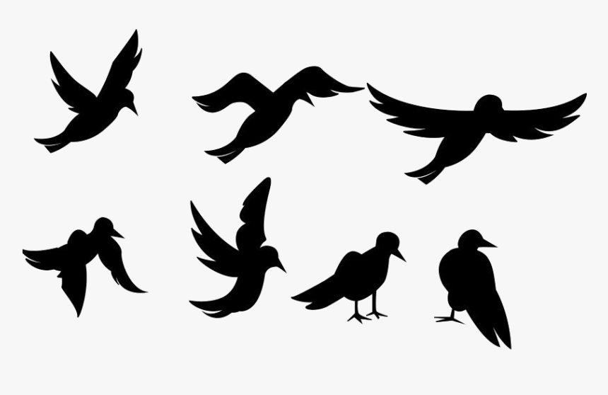 Flock Of Birds Png Transparent Images - Bird Flapping Wings Animation, Png Download, Free Download