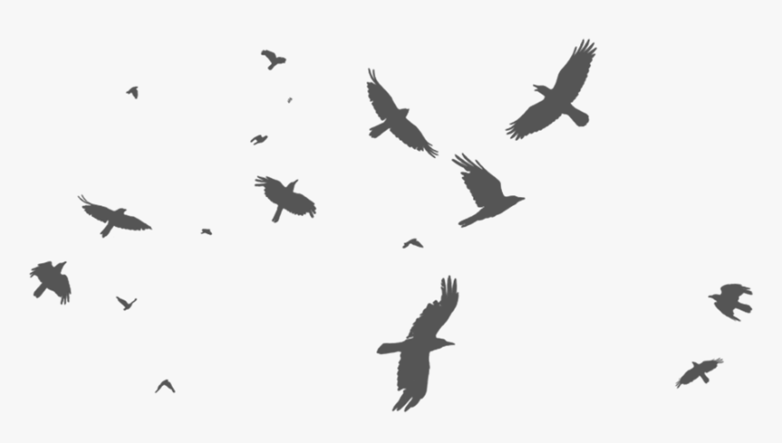 Transparent Flock Of Birds Png Flock Of Crow Silhouette Png Download Kindpng,Garage Door Opening On Its Own