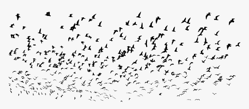 Flock,bird Migration,animal Migration - Landscape Birds Flying Sky, HD Png Download, Free Download