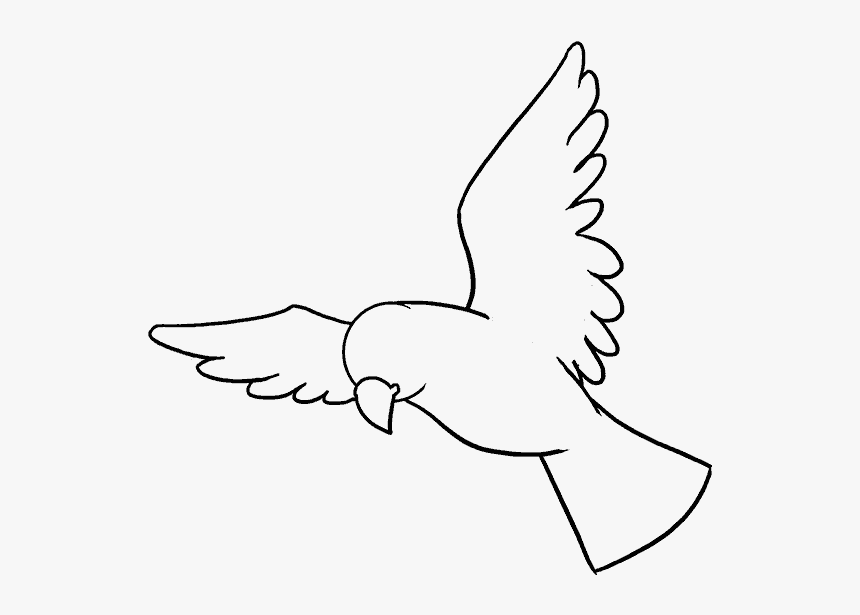 How To Draw A Bird Easy Step By Step Drawing Guides - Drawing Of Bird, HD Png Download, Free Download