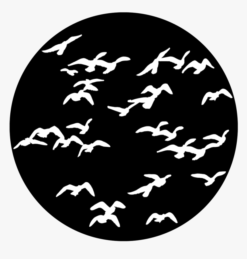 Apollo Design 1137 Flock Of Birds Steel Pattern - Rosco Gobo Birds, HD Png Download, Free Download