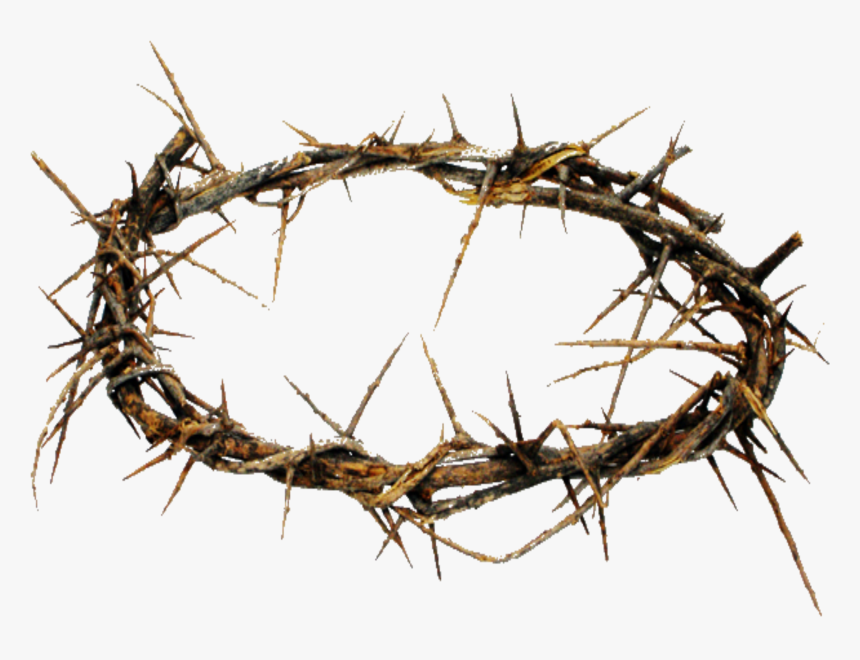 Thorn Crown Png, Transparent Png, Free Download