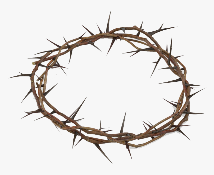 Crown Of Thorns Png Free Download - Crown Of Thorns 3d Model, Transparent Png, Free Download
