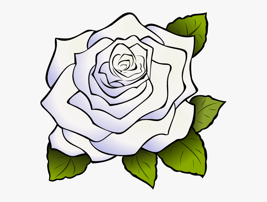 Transparent Rose Clipart Black And White - White Rose Clipart, HD Png Download, Free Download