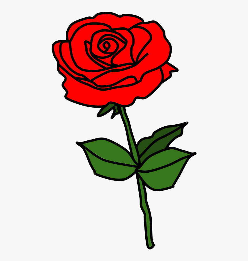 Rose, Thorns, Red - Floribunda, HD Png Download, Free Download