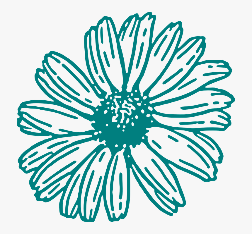 Daisy, Flower, Outline, Floral, Blossom, Blooming - White Outline Flower Clipart, HD Png Download, Free Download