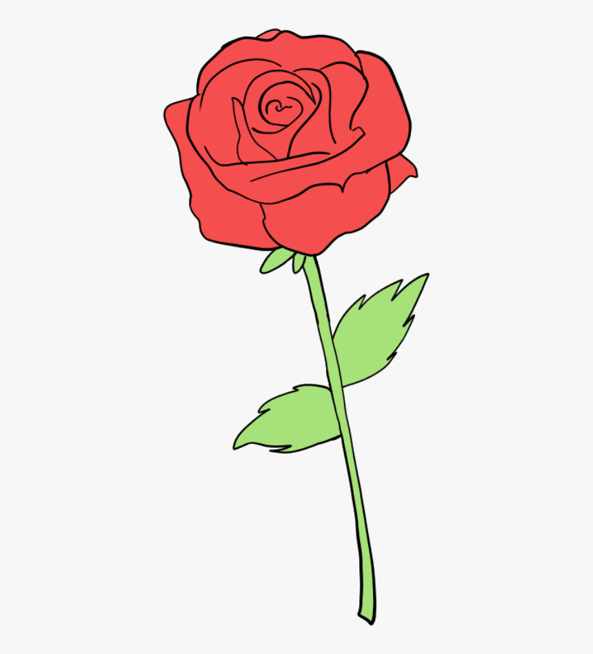 #flower #rose #transparent #outline #tumblr #tookme5mins - Floribunda, HD Png Download, Free Download