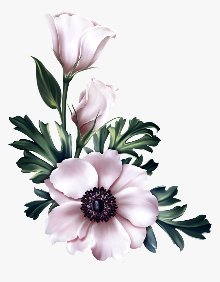 Winter Flower Transparent, HD Png Download, Free Download