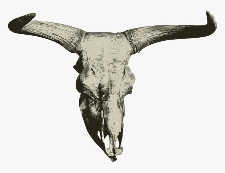 Bison Big Image Png - Steppebison Skull, Transparent Png, Free Download