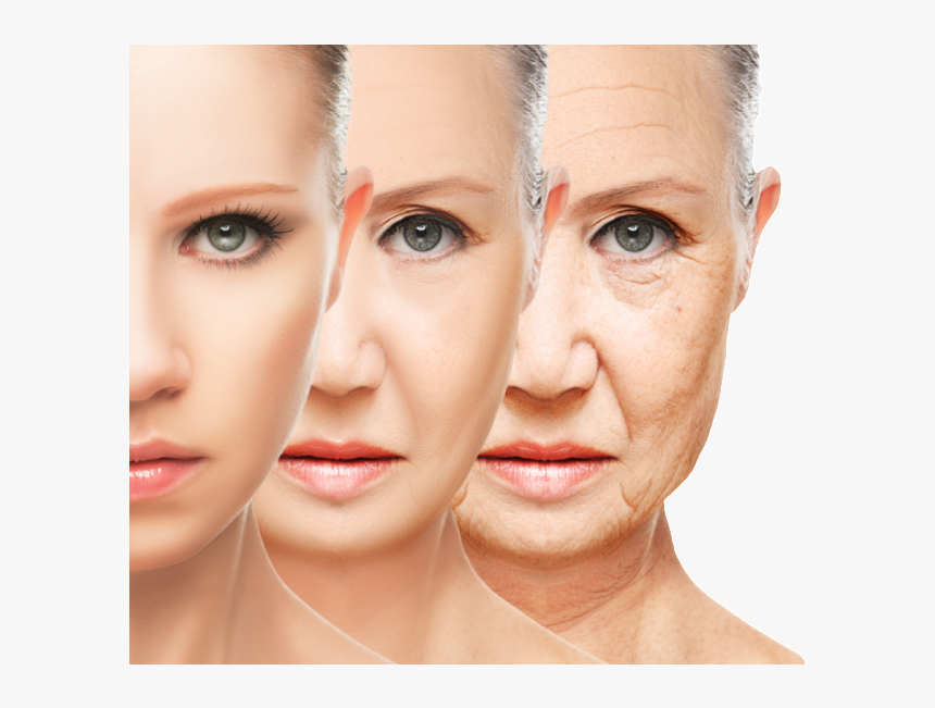 Antioxidant Extends Lifespan - Young And Old Skin, HD Png Download, Free Download