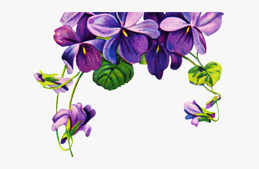 Transparent Leaf Outline Clipart - African Violet Flower Tattoo, HD Png Download, Free Download
