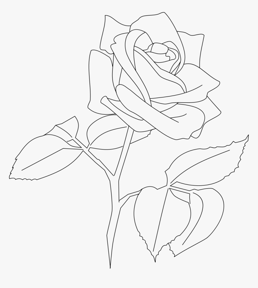 Transparent Rose Outline Png - White Rose Outline Png, Png Download, Free Download