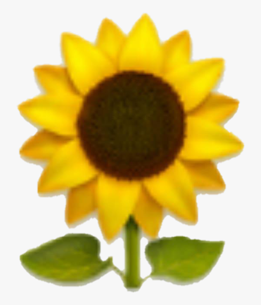 Emoji Sunflower Yellow Yellowflower Flower Clipart, HD Png Download, Free Download