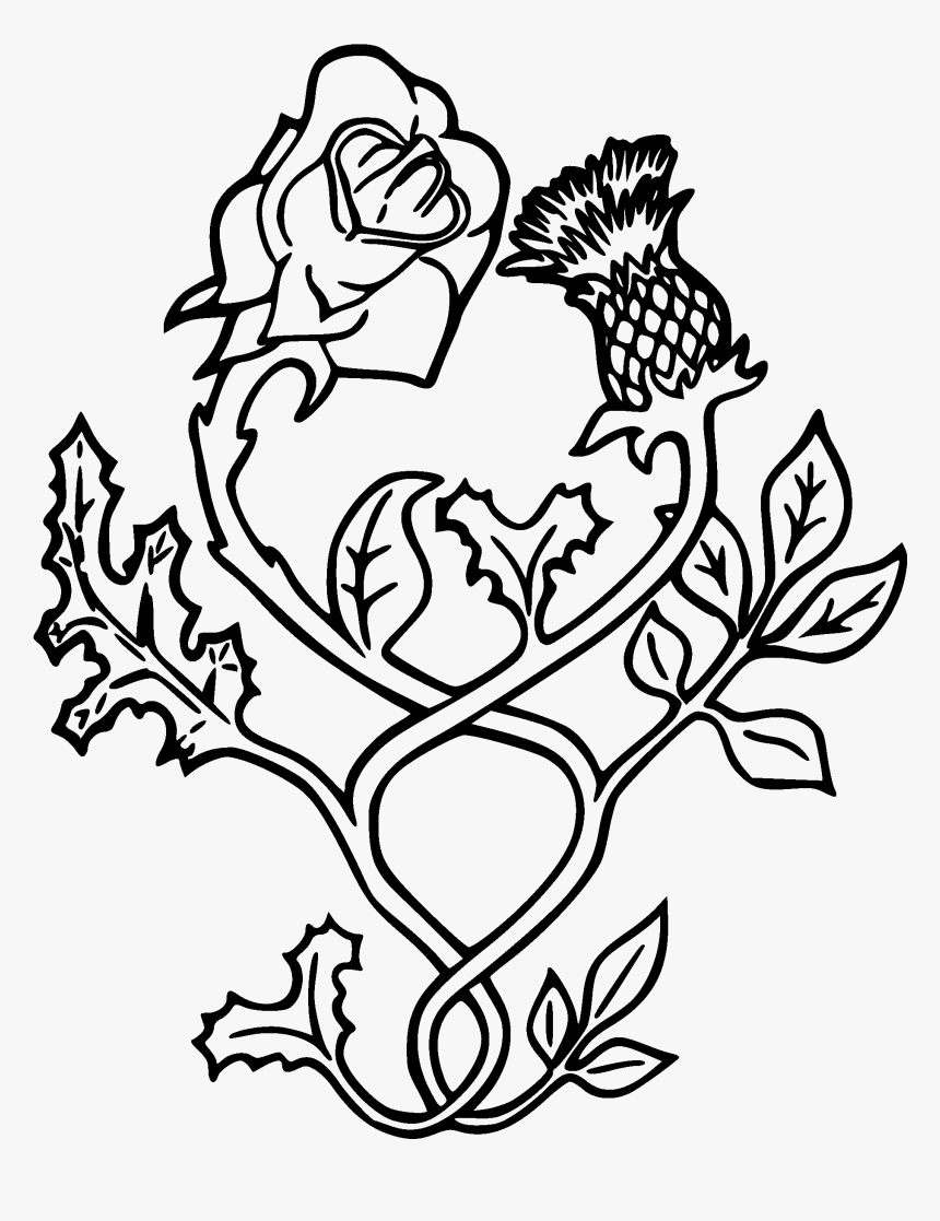 Black Outline Thistle With Rose Tattoo Stencil - Rose And Thistle Vector, HD Png Download, Free Download