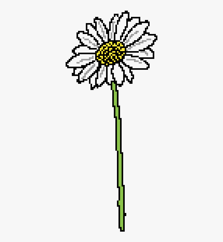 Oxeye Daisy, HD Png Download, Free Download