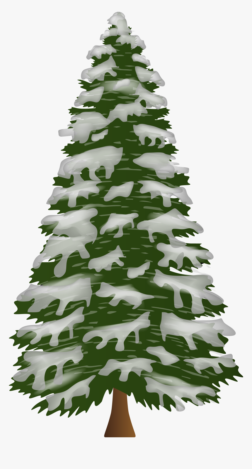 Pine Tree With Snow - Portable Network Graphics, HD Png Download, Free Download