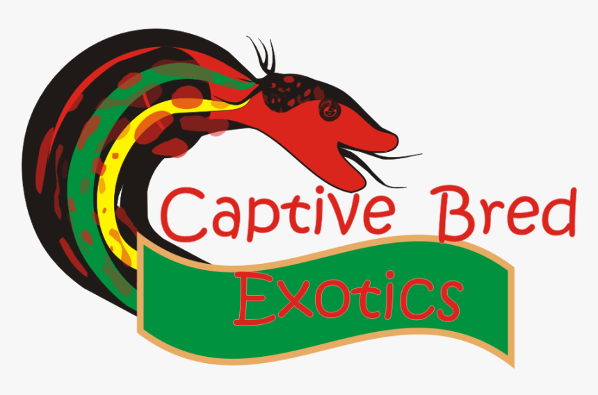 Logo Design By Rakhi For Captive Bred Exotics - Eres El Mejor Papa, HD Png Download, Free Download