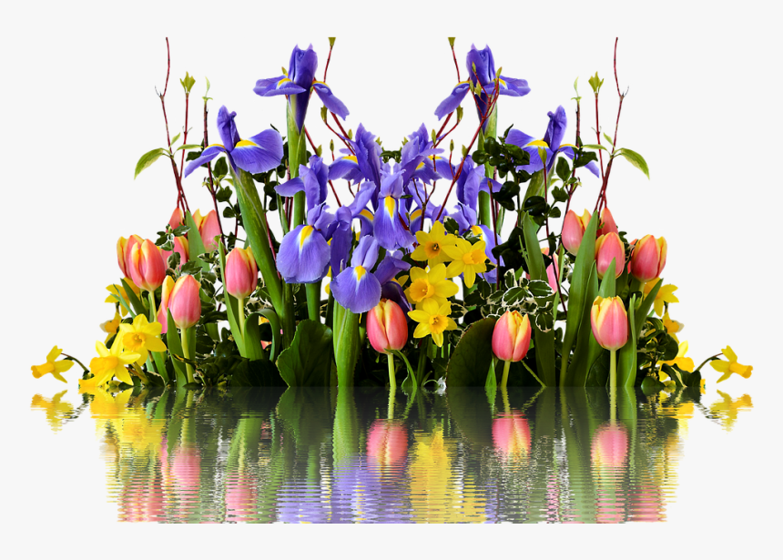 Spring Flower Png - Spring Flowers Transparent Background, Png Download, Free Download