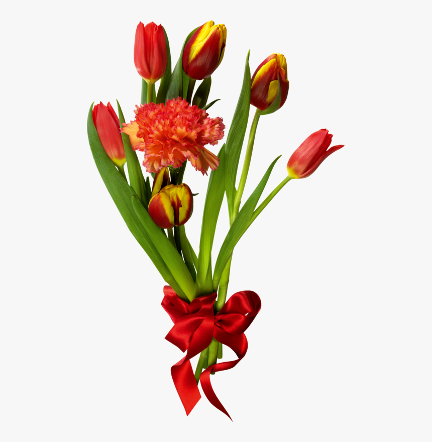 Bouquet Red Tulip Flowers Png Transparent, Png Download, Free Download