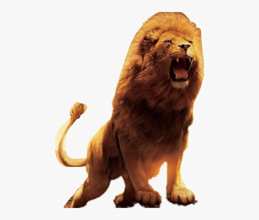 Lion Roar Jesusisking Freetoedit 854 480 Hd Hd Png Download Kindpng