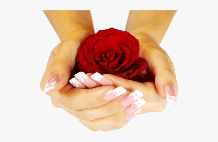 Love Rose Image With Hand, HD Png Download, Free Download